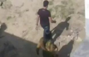 XXX سبک سگ عکس سکسی کیر تو کوس کوچولو وابسته به عشق شهوانی سوراخ او را با dildo صورتی رنگ