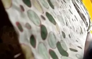 XXX این مرد سايت كير تو كوس بی پروا یک عوضی بلوند را در یک ماشین گران قیمت لعنتی کرد و تمام سینه اش را تمام کرد