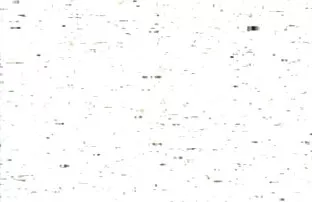 XXX دختر در جنگل زمستانی استمناء می کیرتو کس خفن کند