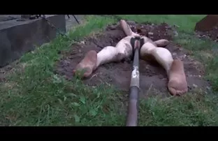 XXX نقطه دوستانه حیوان كس كير كون خانگی در آشپزخانه