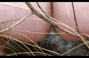 XXX سبکی با پا و تقدیر روی عکس کیر کوس سکسی پاها